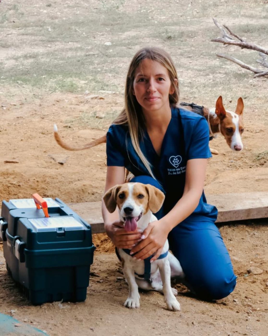 Dra. Ana Keil Amaral em visita ao domicílio, com dois cães